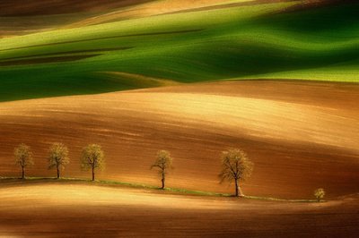 ​有关保持乐观心态的英文谚语