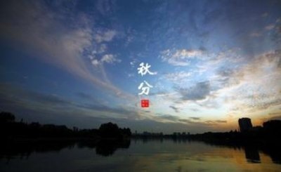 ​描写白鹭飞翔的句子（描写鹰飞翔的片段）