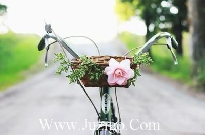 ​老朋友好久不见的句子老朋友好久不见(精选21句)