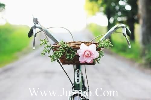 老朋友好久不见的句子老朋友好久不见(精选21句)