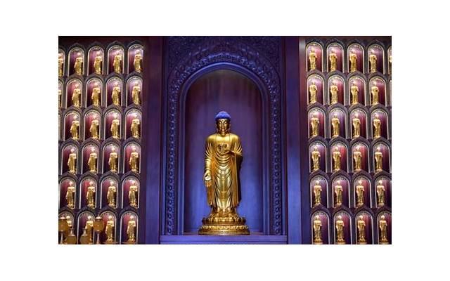 用一句话形容老师无私奉献精选90句 用一句话形容老师无私奉献精选90句