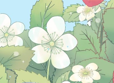 ​抖音文案与音乐文案对比（抖音文案与音乐文案对比图）