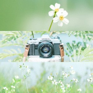 ​勇于活出自我的句子，句句给人向上的力量