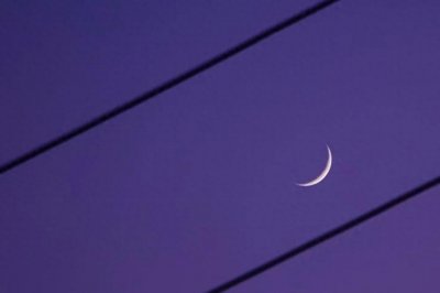 ​那些神仙句子，建议收藏 （野鹤纷飞，日暮不思归。）