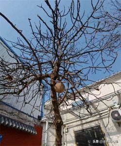 ​感慨人心难测的经典哲理句子