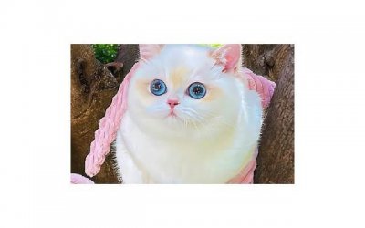 ​失去了最好的朋友发个朋友圈(失去了最好的朋友发个朋友圈文案)