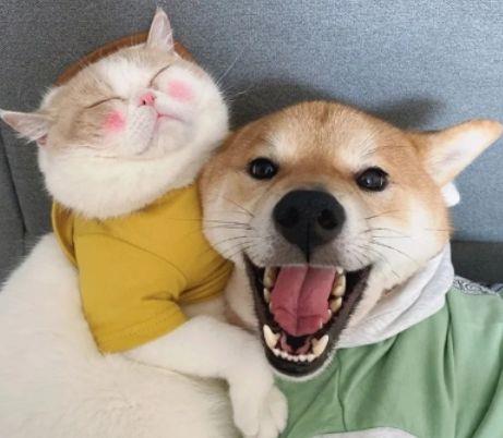 常用朋友圈正能量句子汇总64条