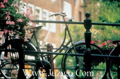 ​原耽经典语录励志原耽经典语录励志短句(精选100句)