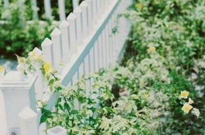 ​一瞬间情绪崩溃的句子 压抑憋屈的心情说说(83句)