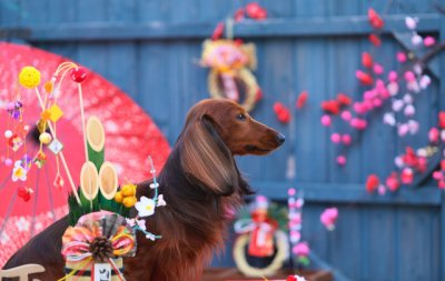 ​关于繁华落尽的唯美句子大全 一抹繁花唯美句子