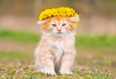 ​特别特别伤心的说说