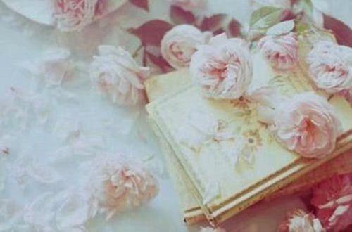 毕业照上里的寄语