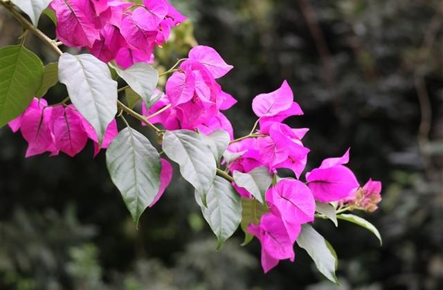 累了就出去走走的说说