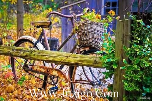 中秋朋友圈文案中秋朋友圈幽默文案(精选92句)