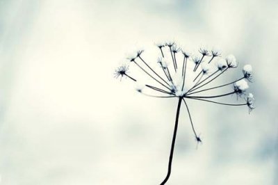 ​情侣旅游的说说心情朋友圈情侣旅游的心情说说(48句)