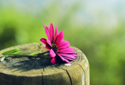 ​抖音很火的国庆节朋友圈文案【热门67句】