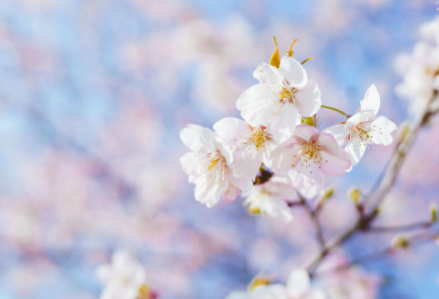 ​最伤感的心情说说大全推荐