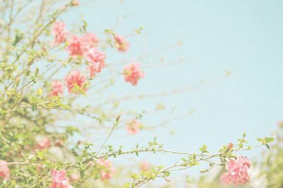 ​不分离说说32句