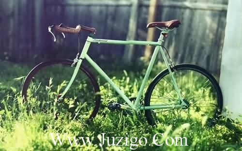 庆祝共青团100周年的句子 庆祝共青团100周年征文(精选109句)