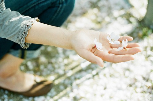 写家庭幸福的句子62句