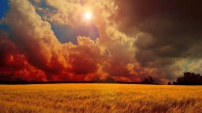 ​怎么给对象说道歉的话语[20句]