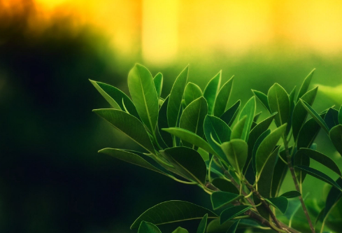 1687268927447442.png image.png