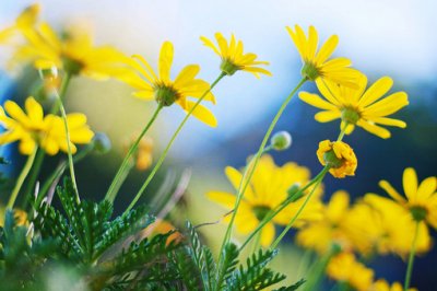 ​开心一日游的心情说说跟朋友开心一日游的心情说说