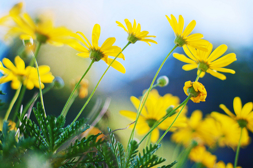 开心一日游的心情说说跟朋友 开心一日游的心情说说