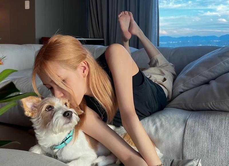  写情人节的句子简短总汇150句