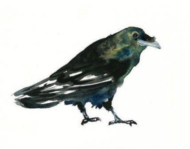 ​早晨发圈吸引人的文案句子(精选27句)