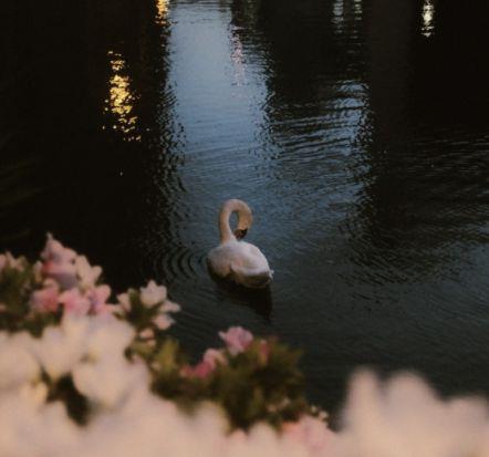 甜到爆炸的撩人句子文案古文