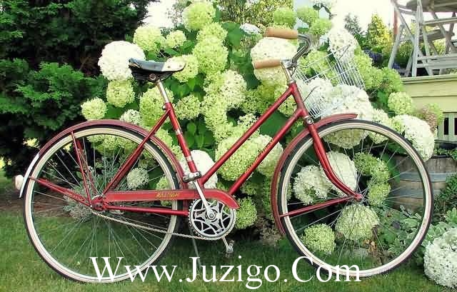 自己做了母亲过母亲节的说说(精选24句)