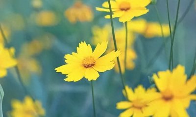 ​人海茫茫相遇不易的句子：相遇是命运的安排走到一起则是愿望选择