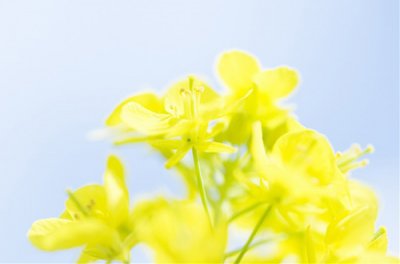 ​话中有话的骂人句子84句