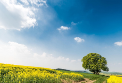 ​朋友圈祝女儿生日快乐的句子