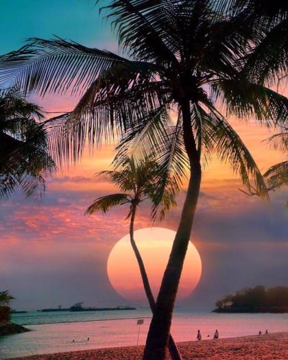 关于感情淡了的文案