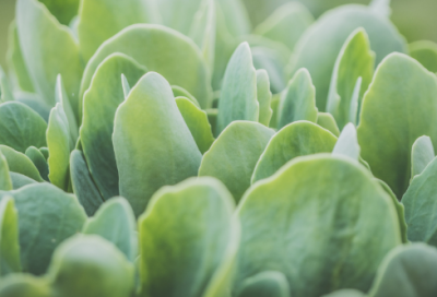 ​分手后的伤感文案短句-54句