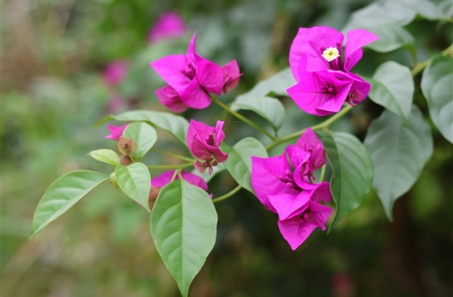 qq符号情侣网名(72个)