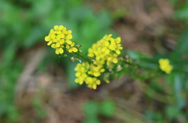形容心情不好情绪低落的网名