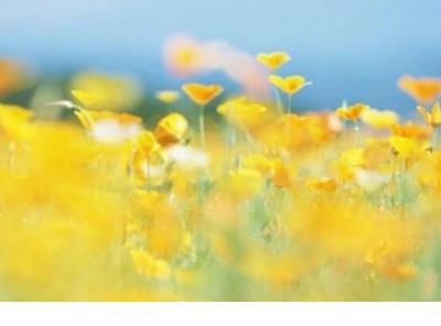 有关感情的个性签名