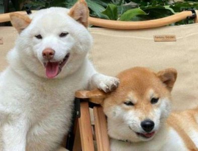 ​拍的夕阳怎么发朋友圈