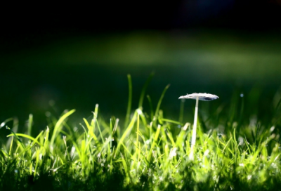 ​愿与你相伴qq网名(精选99个)