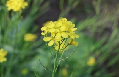 ​我想找一个好的网名