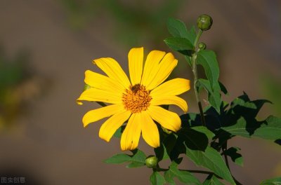 ​形容夏天的句子唯美短句（关于夏天的唯美句子，盛夏美好文案）