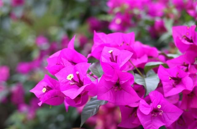 两个字的深奥网名(共68个)