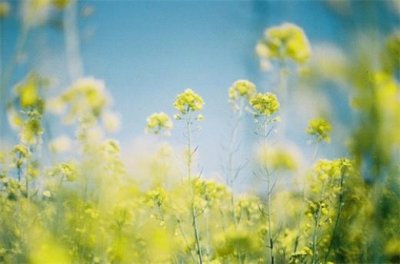 ​爱的教育优美句子简短