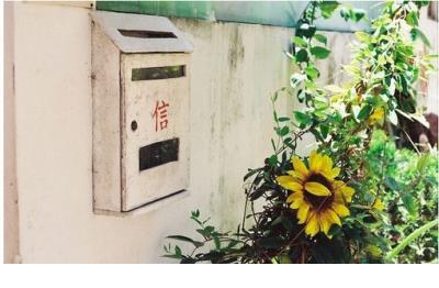 搞笑人生感悟案例