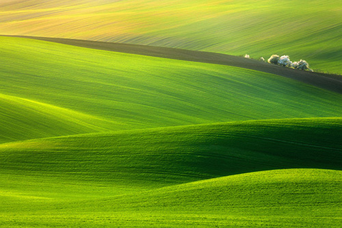 自己就是个笑话的伤感说说 觉得自己是个笑话的说说(精选58句)