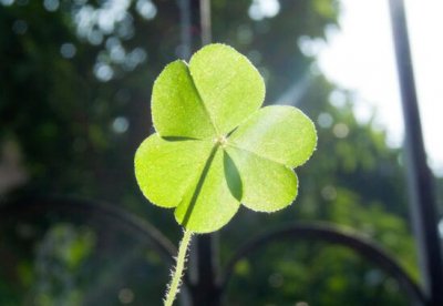 ​香水唯美语录