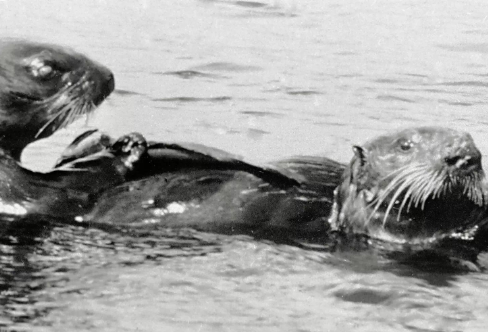 1708291259366587.png image.png